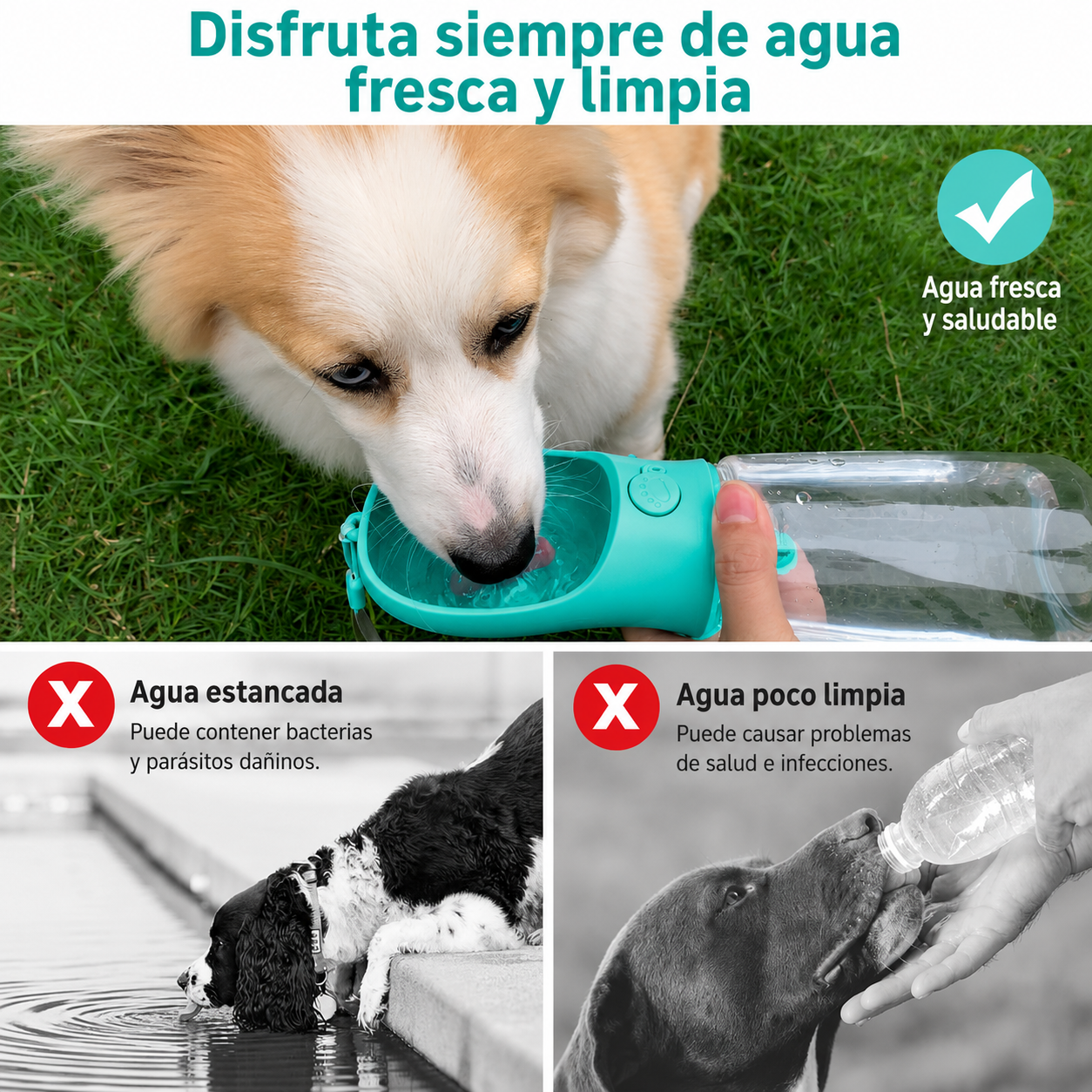 Botella Antiderrames para Paseos sin Sed