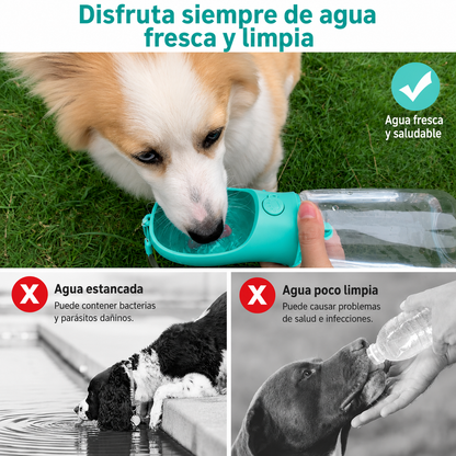 Botella Antiderrames para Paseos sin Sed