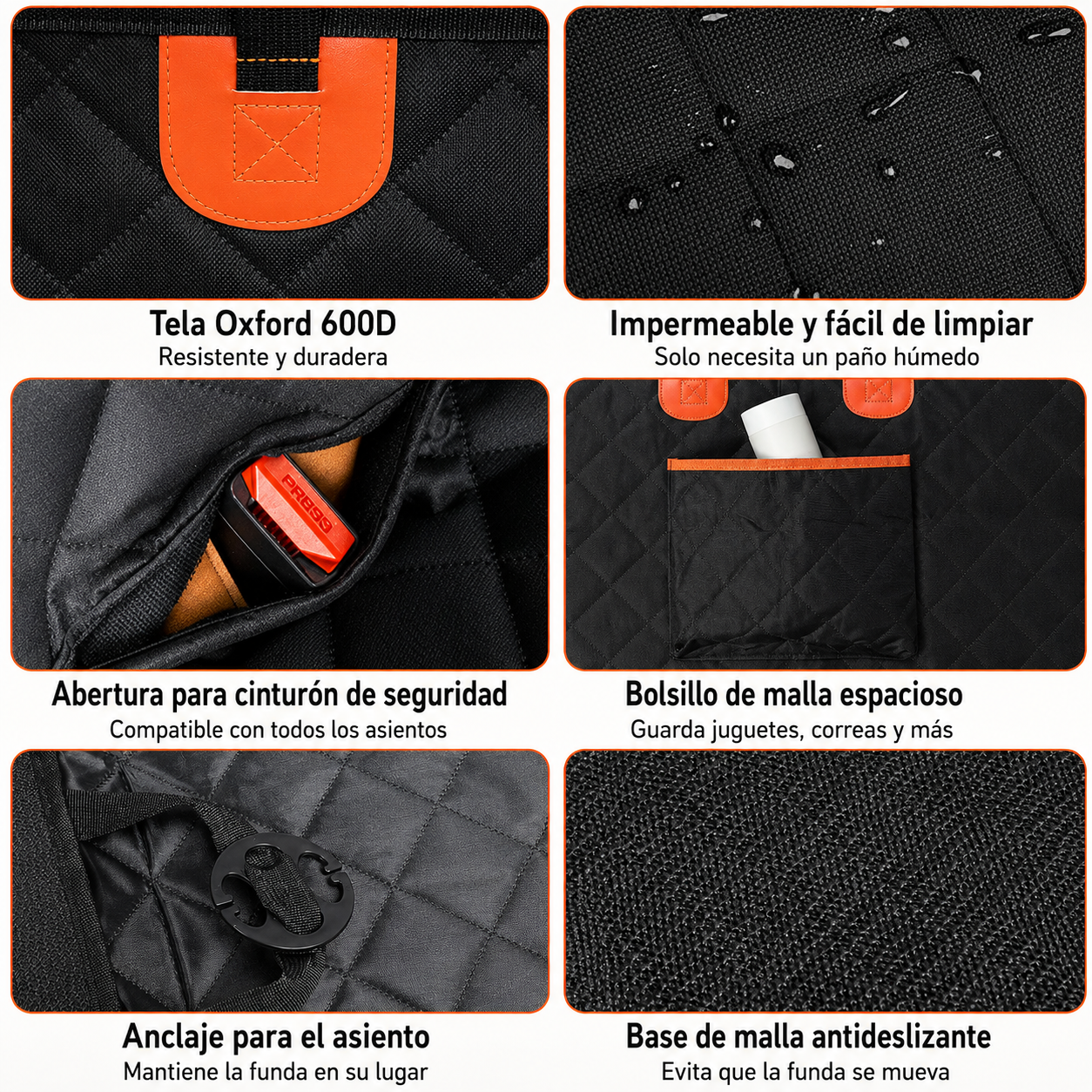 Protege tu Coche en Cada Viaje