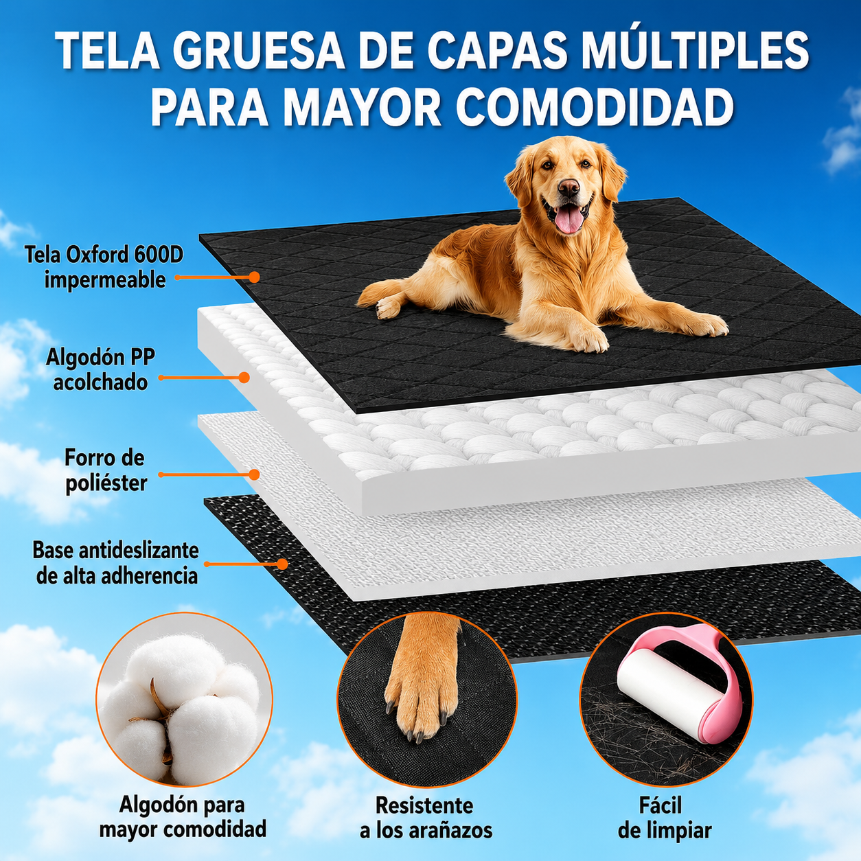 Protege tu Coche en Cada Viaje